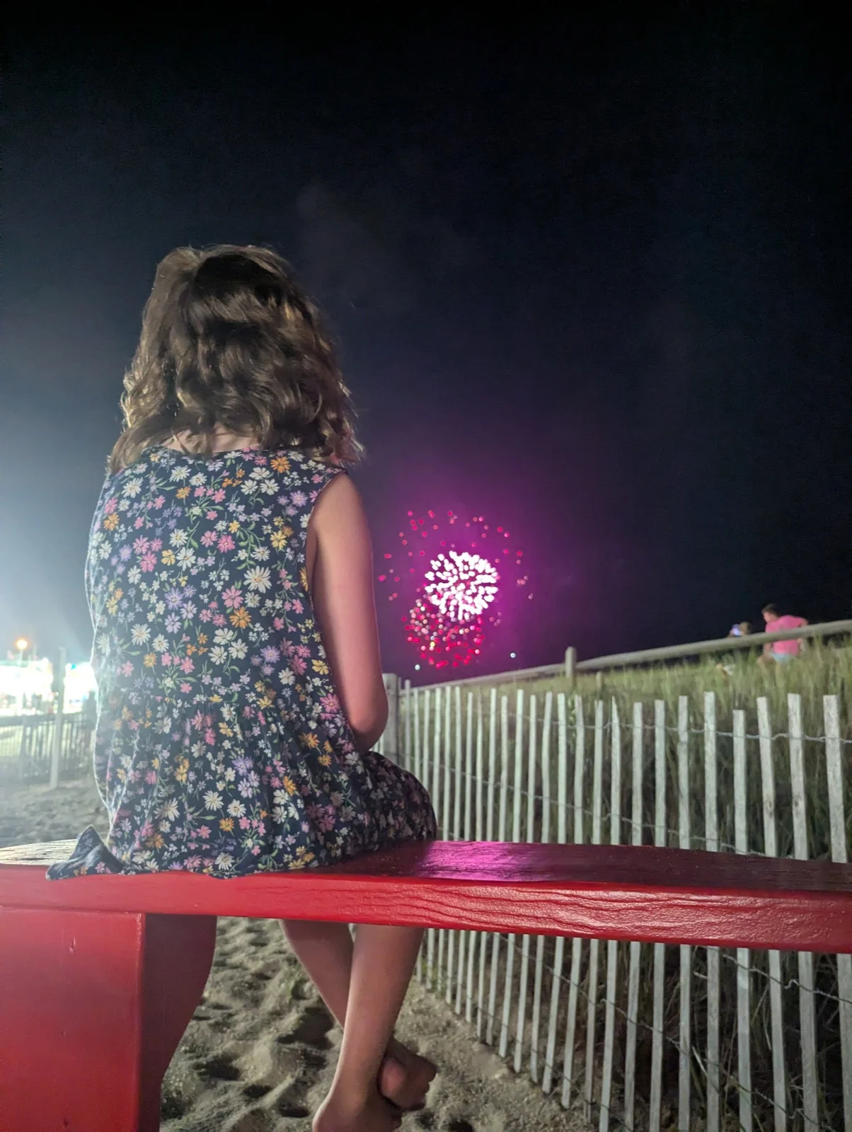 Beckett watching fireworks at the shore